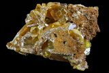 Wulfenite Crystals on Matrix - Mexico #67723-1